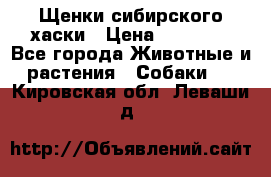 Щенки сибирского хаски › Цена ­ 12 000 - Все города Животные и растения » Собаки   . Кировская обл.,Леваши д.